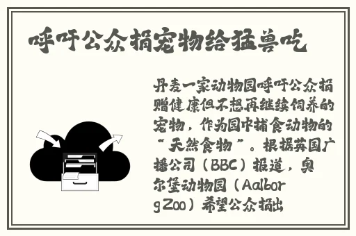 金㼛梅HD版杨梅思